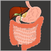 Digestive BodPod Interactive